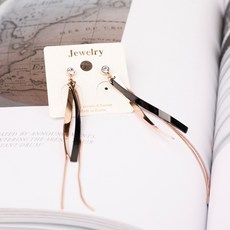 여자명품귀걸이