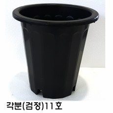 cf86e7da-cd69-4462-9408-855d1582cb2d.jpg