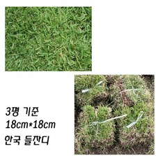 [짱짱마켓] 한국잔디 3평 중지 18cm 300개 들잔디