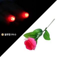 쏘매직원더가든