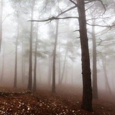 209ecc03-5e1c-4600-a16e-3a04c5ec737e.jpg