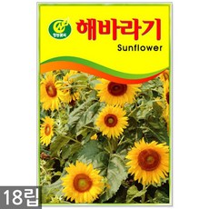 강남식용꽃파는곳
