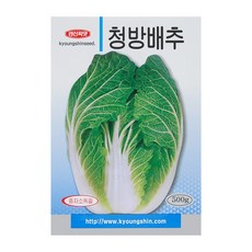 청방배추