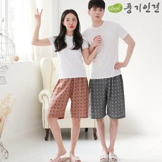 풍기포인견