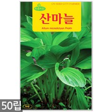 //상품명