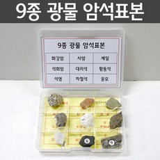 표본만들기