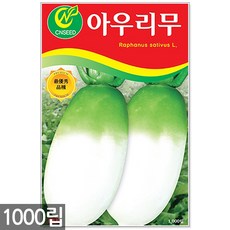 천수무씨앗