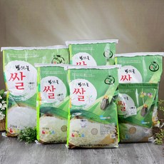 무주래프팅추천