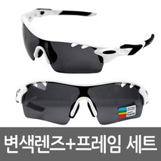 블레이드라이더고글