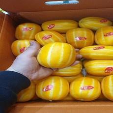가람상점 가정용 고령 성주 꿀 참외 10kg 5kg 2.5kg 대과 중과 소과 한박스, 참외랜덤과 5kg, 1개