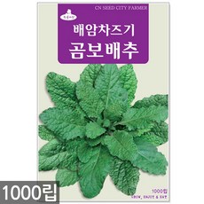 //상품명