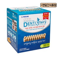 애견과함께하는페라글라이딩