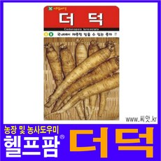 더덕씨앗