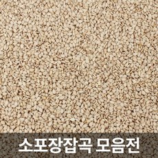 CS참깨 중국산 참깨, 1봉, 1kg