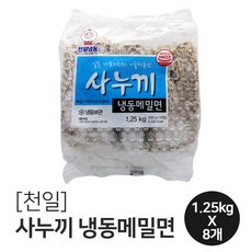 천일 사누끼 냉동메밀면 1BOX(1.25kgX8개), 1.25kg, 8개