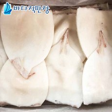 참바다손질오징어