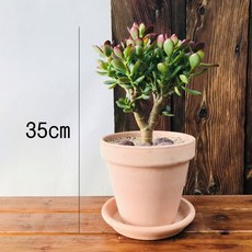 d40ac1cc-ce12-415e-8d36-87a2c1b7b3a5.jpg