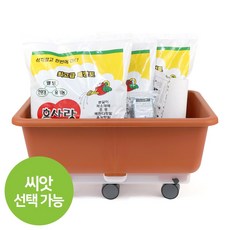 미니텃밭장난감