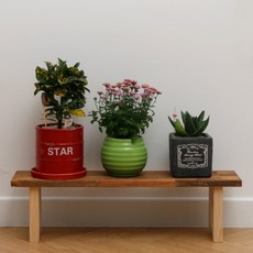 무디스워크 원목 화분받침대 화분진열대 화분정리대 인테리어 선반