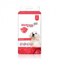 웰리힐리보드강습