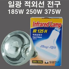 6w굴삭기