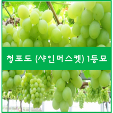 //상품명