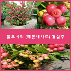 60fc22bc-f585-4912-96d3-02c924ddb1d4.png