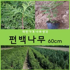 0c531726-6652-4229-a00d-e81c51238aaa.png