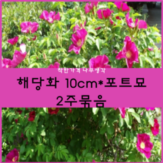 2151b2b1-7a3e-4e71-a6be-94c5a53dc420.png