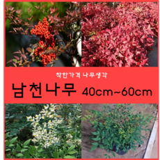 d1bf100b-b276-44b2-9dcd-b59ab875c796.png