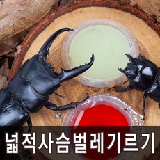 d70d1940-5c8e-4b9f-91eb-6e9e7ad590e1.jpg