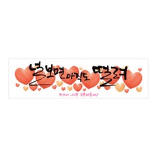 더설렘n베이비파티