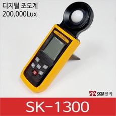 skm조도