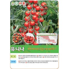 아시아종묘 방울토마토종자씨앗 유니나 방울토마토 (1000립)