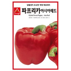 바나나파프리카