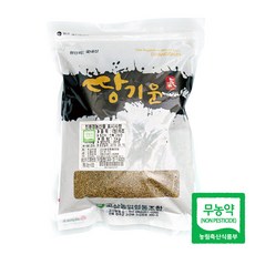 고산농협 친환경 땅기운 청차조, 1개, 1kg