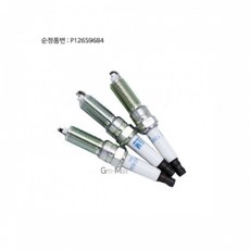 넥스트스파크점화플러그