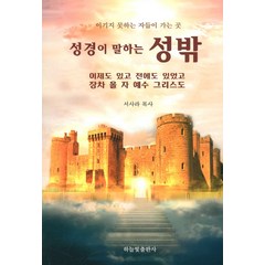 성경이 말하는 성밖:이기지 못하는 자들이 가는 곳, 하늘빛출판사