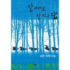달 너머로 달리는 말(리커버 에디션):김훈 장편소설, 파람북, 김훈