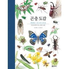 곤충 도감:우리나라에 사는 곤충 144종, 보리, 김태우