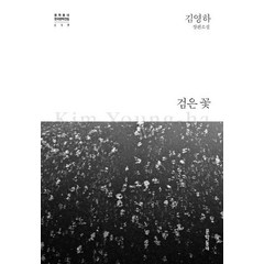 [문학동네]검은 꽃 - 문학동네 한국문학전집 17 (양장), 문학동네, 김영하