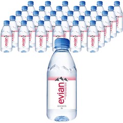 롯데칠성음료 에비앙, 330ml, 48개