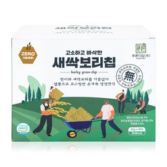 푸른디딤 새싹보리칩, 240g, 1개