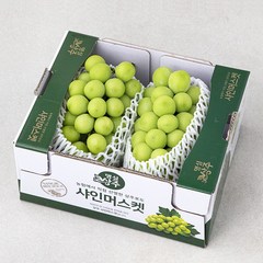 명실상주 샤인머스켓, 1.5kg(2~3송이), 1개