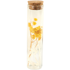 애플민트 병에 담긴 작은 꽃, 안개꽃 옐로우