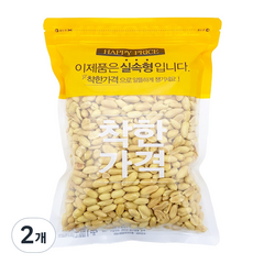 견과공장 햇 튀김땅콩, 800g, 2개