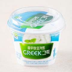 풀무원다논 그릭 플레인, 400g, 1개