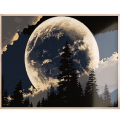 아트조이 물감 2배 DIY 명화그리기 40 x 50 cm, 달 밝은 밤