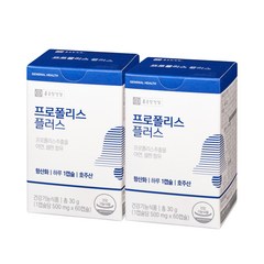 종근당건강 와일드비 프로폴리스 플러스, 60정, 2개