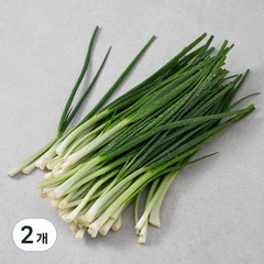 국내산 깐쪽파, 200g, 2개